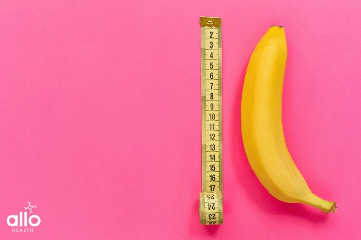 What Is A Penis?