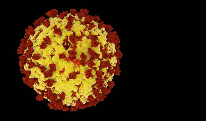 Priapism Causes: What You Need to Know 5 image of flu covid 19 virus cell under the microsc 2024 10 12 22 54 11 utc 1