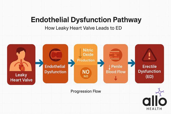 can a leaky heart valve cause erectile dysfunction