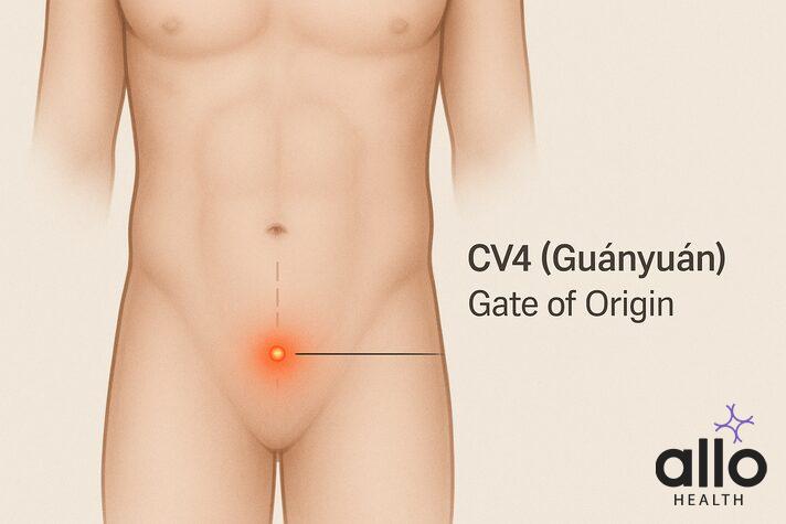 Acupressure points for erectile dysfunction