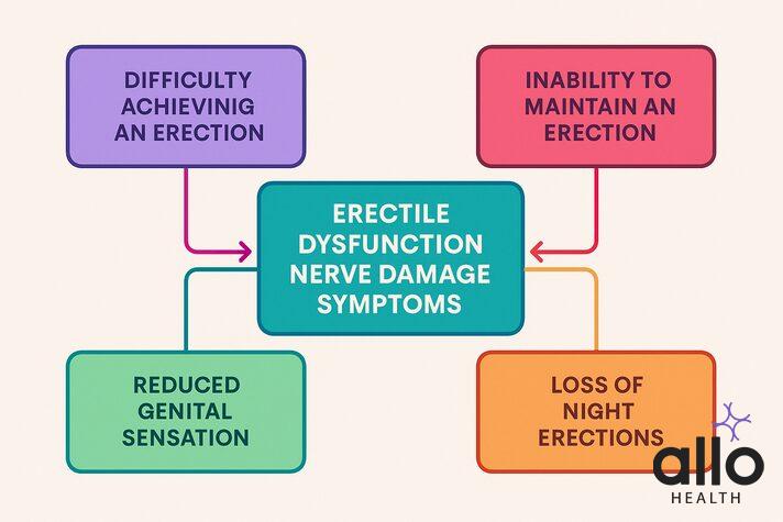 erectile dysfunction nerve damage symptoms 
