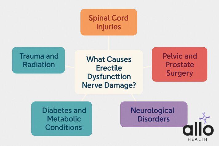 erectile dysfunction nerve damage symptoms