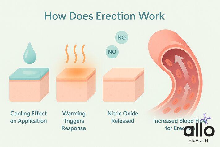 erection gel