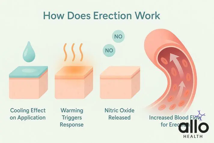 Does Nitric Oxide Help With ED: Uncover the Truth