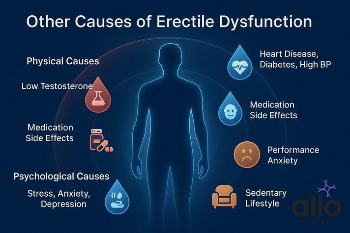 Infographic with a male outline surrounded by icons representing physical, psychological, and lifestyle factors like heart disease, low testosterone, stress, alcohol, and smoking, alongside the role of dehydration in does dehydration cause erectile dysfunction.