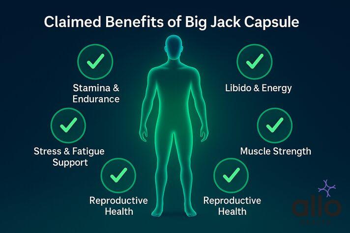 big jack capsule  ke sambhavit fayde