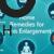 Infographic of home remedies for penis enlargement