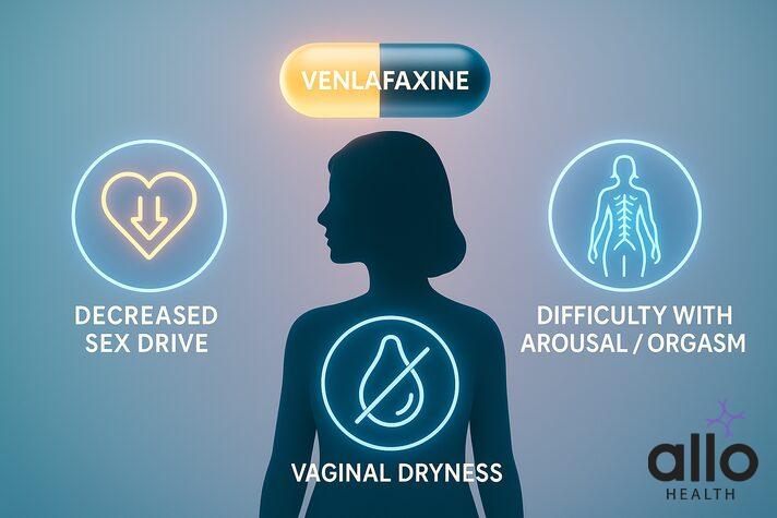 side effects of venlafaxine on women which includes low sex drive, vaginal dryness and lack of arousal