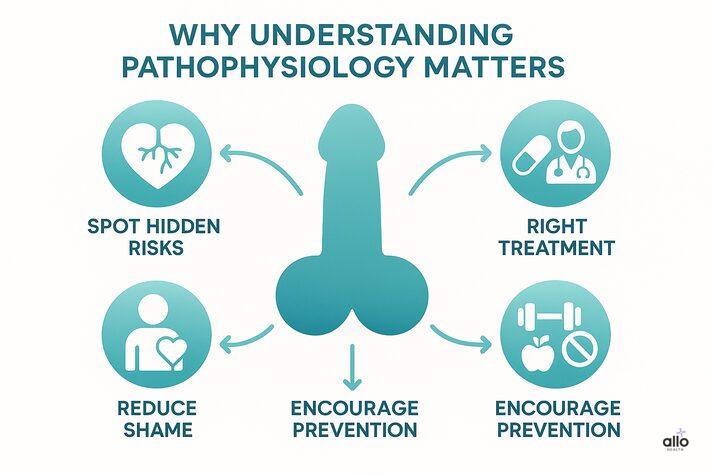 why understanding pathophysiology of erectile dysfunction matters: spot hidden health risks, find right treatment, reduce shame, and encourage prevention.