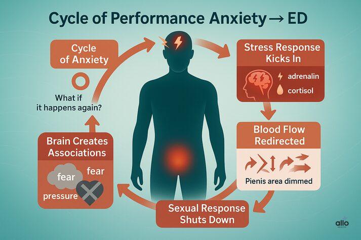 the cycle of performance anxiety causing erectile dysfunction: stress response releases hormones, blood flow redirected, sexual response shuts down, brain creates fear associations, and anxiety worsens erection problems.”