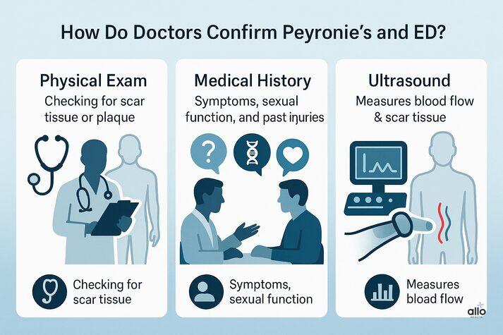Peyronie’s Disease and Erectile Dysfunction: Link and Effects on Sexual Health 5 Infographic explaining diagnostic methods for Peyronie’s disease and erectile dysfunction — physical examination, medical history review, and penile Doppler ultrasound.