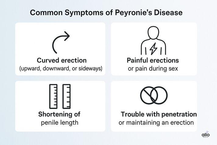 Peyronie’s Disease and Erectile Dysfunction: Link and Effects on Sexual Health 1 Infographic showing four common symptoms of Peyronie’s disease — curved erection, painful erections, shortening of penile length, and difficulty maintaining an erection.