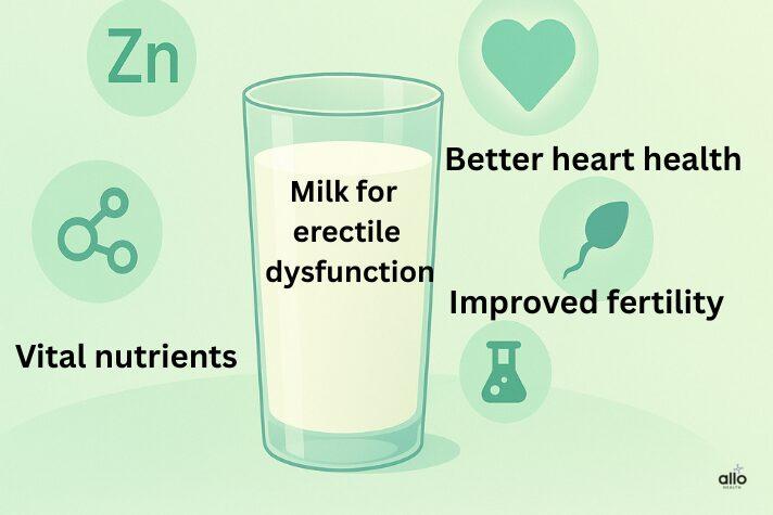 Milk for Erectile Dysfunction: Benefits and Effects on Sexual Health 2 Glass of milk with symbols for heart health, sperm, and hormones — representing the mixed effects of milk on erectile dysfunction and sexual health.