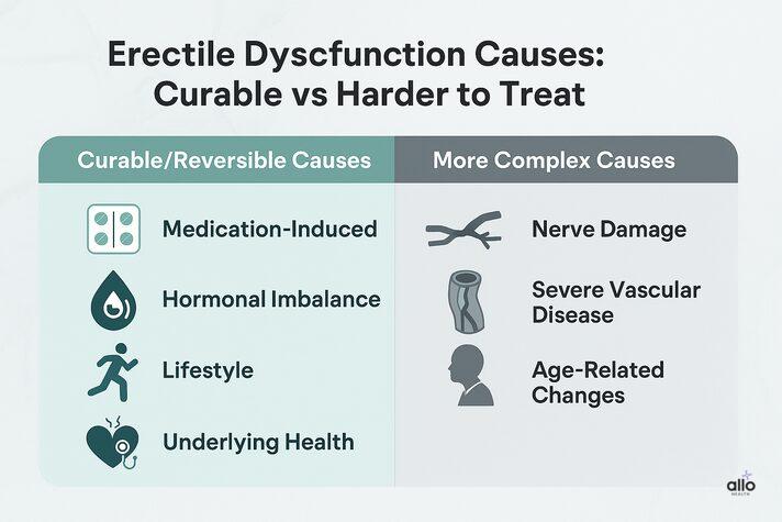 Infographic showing erectile dysfunction causes to answer can impotence be cured, with curable factors like medication, hormones, lifestyle, psychological, and underlying health, versus complex causes like nerve damage, vascular disease, and age-related changes.