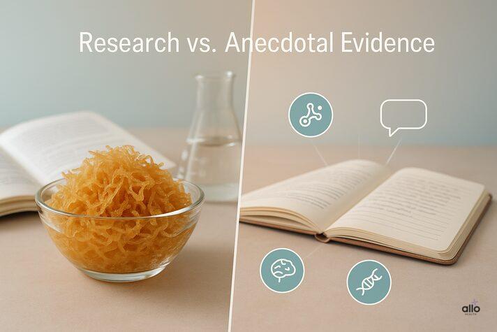 Sea moss bowl beside a split panel with lab journal and testimonial diary, comparing research and personal claims about sea moss erectile dysfunction.