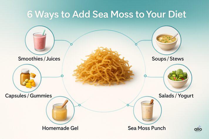 Infographic with sea moss in center and six icons for smoothies, soups, salads, Caribbean punch, homemade gel, and supplements, explaining sea moss erectile dysfunction use.