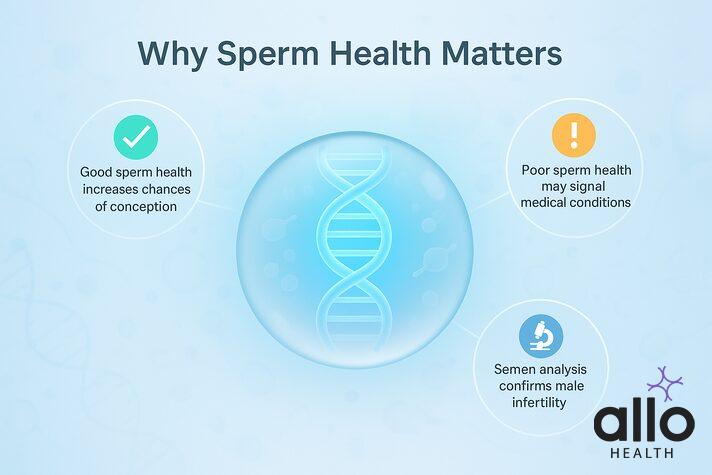 Why sperm health matters infographic showing DNA helix with key points about good sperm health, poor sperm health, and semen analysis – can impotent man produce sperm.