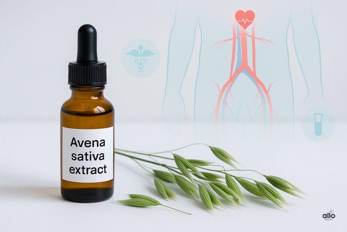 Avena Sativa for Erectile Dysfunction: Link Between and Side Effects 1 “Amber dropper bottle labeled Avena Sativa Extract with oat straw beside it, medical diagram of male circulation in background — clinical view of avena sativa for erectile dysfunction.