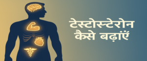 Featured Image | टेस्टोस्टेरोन हार्मोन कैसे बढ़ाये