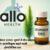 Lycopodium 1000 uses in Hindi – लाइकोपोडियम 1000 की बोतल, पास में क्लब मॉस पौधा और पीछे आत्मविश्वास दिखाती पुरुष की आकृति