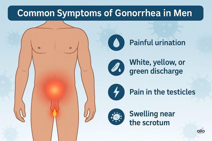 “Infographic showing common gonorrhea symptoms in men — painful urination, greenish discharge, testicular pain, and scrotal swelling — with glowing highlights on affected areas.”