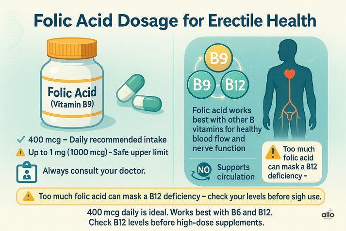 “Chart showing folic acid dosage for erectile health—400 mcg daily recommended, safe up to 1 mg per day—highlighting vitamin B9 capsules and healthy blood flow.”