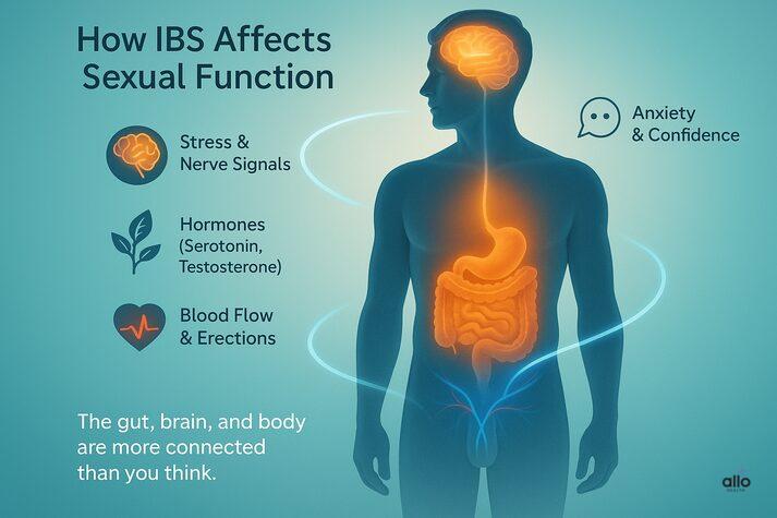 Infographic showing how IBS affects sexual function through stress, nerve signals, hormones like serotonin and testosterone, and reduced blood flow to the penis.