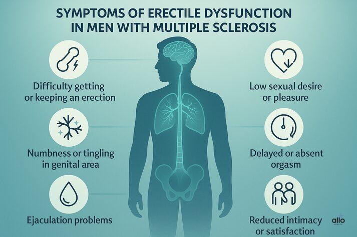 Infographic showing common erectile dysfunction symptoms in men with multiple sclerosis, including erection difficulty, low desire, genital numbness, delayed orgasm, and reduced satisfaction.