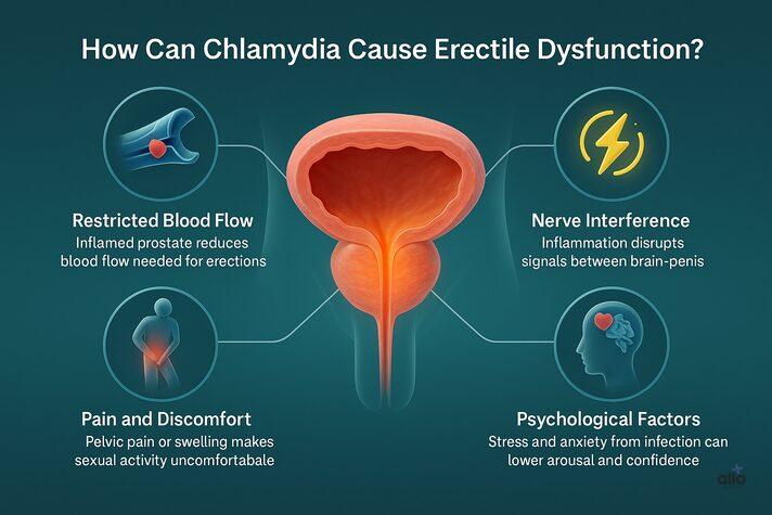 Chlamydia and Erectile Dysfunction: Can This STD Cause ED? 2 3D medical infographic explaining can chlamydia cause erectile dysfunction through restricted blood flow, nerve interference, pain, and psychological factors, with icons and prostate illustration.