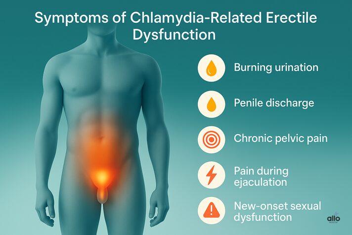 Chlamydia and Erectile Dysfunction: Can This STD Cause ED? 3 3D realistic infographic illustrating symptoms related to can chlamydia cause erectile dysfunction, highlighting the urethra, testicles, and prostate with icons for burning urination, discharge, and pelvic pain.