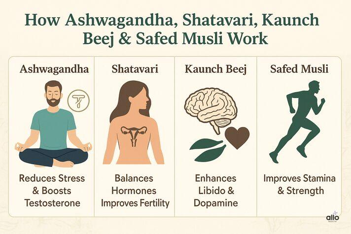Patanjali Mix Powder: Ashwagandha, Shatavari, Kaunch Beej और Safed Musli के फायदे 2 Ashwagandha, shatavari, kaunch beej aur safed musli ke benefits – stress kam kare, hormones balance kare, libido aur stamina badhaye.
