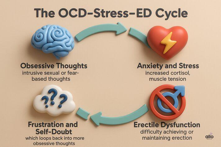 infographic showing the OCD and erectile dysfunction cycle, explaining how obsessive thoughts and anxiety lead to stress and erection problems.