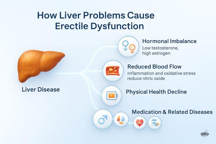 A clean 3D medical infographic showing how liver disease leads to erectile dysfunction through hormonal imbalance, poor blood flow, fatigue, psychological stress, and medication effects related to can liver problems cause erectile dysfunction.