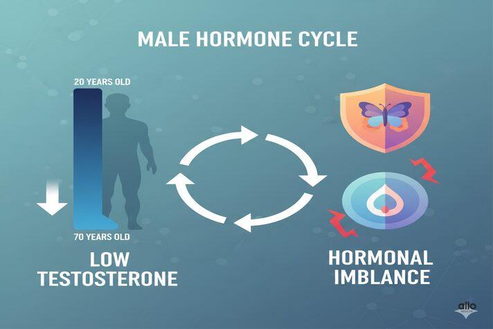 सुबह इरेक्शन क्यों नहीं होता? मॉर्निंग इरेक्शन कम होने के कारण 2 testosterone hormone ka kam hona aur thyroid aur prolactin hormone ka imbalance - morning erection kam hone ka ek karan