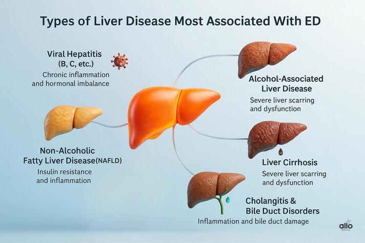 A 3D medical infographic showing five types of liver disease—hepatitis, fatty liver, alcohol-related disease, cirrhosis, and bile duct disorders—explaining how each condition contributes to erectile dysfunction and answering can liver problems cause erectile dysfunction.
