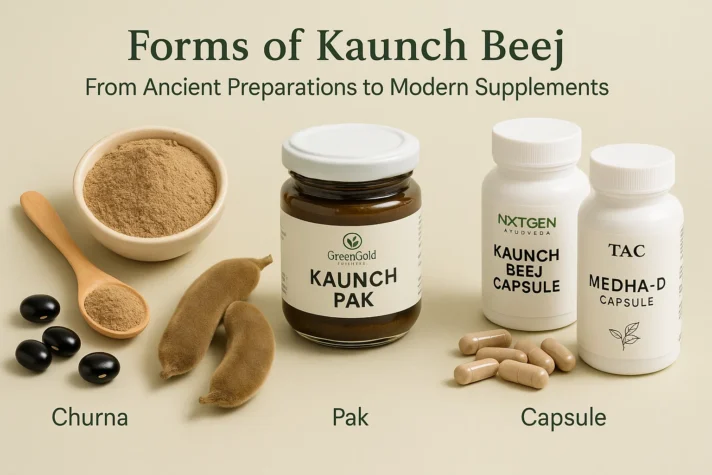 Kaunch Beej and Erectile Dysfunction: Uses, Benefits, and Impact on Sexual Health 3 “Different forms of Kaunch Beej — churna powder in a bowl and spoon, Kaunch Pak jar, and modern capsules labeled Nxtgen Ayurveda Kaunch Beej Capsule and TAC Medha-D Capsule, representing traditional to modern Ayurvedic supplements.”