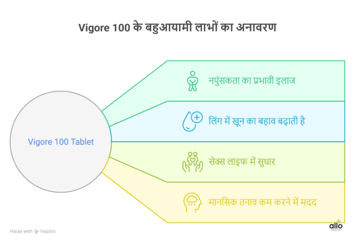 Vigore 100 ke fayde dikhata infographic — napunsakta ka ilaj, blood flow badhana, sex life sudharna aur stress kam karna.