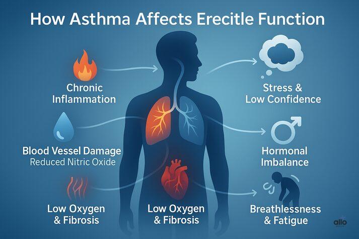 “Medical infographic illustrating how asthma contributes to erectile dysfunction through inflammation, low oxygen, blood vessel damage, stress, and hormonal imbalance.”