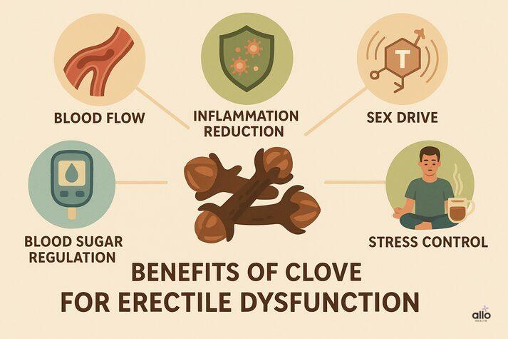 Clove for Erectile Dysfunction: Benefits, Uses, and Effects on Sexual Health 2 “Infographic showing key benefits of clove for erectile dysfunction, including better blood flow, reduced inflammation, improved libido, balanced blood sugar, and lower stress.”