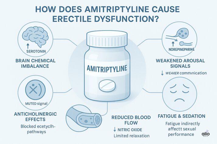 Infographic showing how amitriptyline can cause erectile dysfunction, including serotonin-related brain chemical imbalance, weakened arousal signals, anticholinergic effects, reduced nitric oxide blood flow, and fatigue.