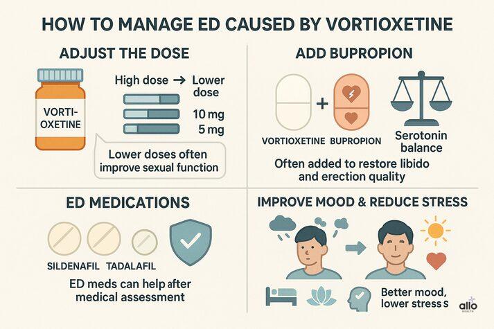 Vortioxetine and Erectile Dysfunction: Does This Antidepressant Affect Libido? 4 A four-part medical infographic explaining ways to manage ED caused by vortioxetine. Top-left: Dosage bars showing high dose decreasing to lower dose (10 mg, 5 mg) with a note that lower doses often improve sexual function. Top-right: Icons of vortioxetine and bupropion tablets with a balance scale, indicating these medications can be paired to restore libido and erection quality. Bottom-left: Icons of sildenafil and tadalafil tablets with a shield symbol, showing ED medications can help after medical assessment. Bottom-right: Illustration of a stressed person transitioning to a calmer state with icons for sleep, meditation, and improved mood, noting that lower stress supports better sexual function.
