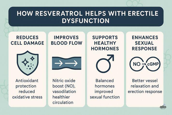 Resveratrol for Erectile Dysfunction: Natural Antioxidant to Enhance Blood Flow 2 “Infographic explaining how resveratrol supports erectile function: reduces cell damage, improves blood flow through nitric oxide, supports healthy hormones, and enhances erection response. Features shield icons, blood-flow arrows, and NO/cGMP symbols.”