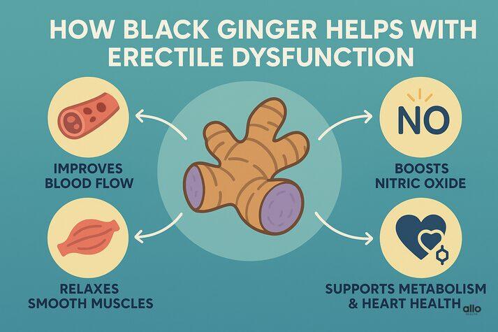 Kaempferia Parviflora (Black Ginger) and Erectile Dysfunction: Proven Benefits on Sexual Health 2 A teal and yellow infographic featuring a central black ginger root with four surrounding icons labeled: improves blood flow, relaxes smooth muscles, boosts nitric oxide, and supports metabolism and heart health.