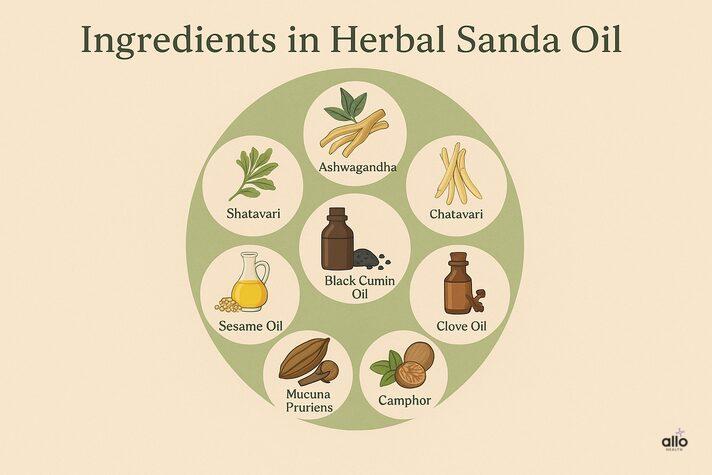 Sanda oil mein istemaal hone wali herbal ingredients: ashwagandha, shatavari, black cumin, clove, sesame, mucuna, nutmeg, camphor ke icons ke saath infographic.”