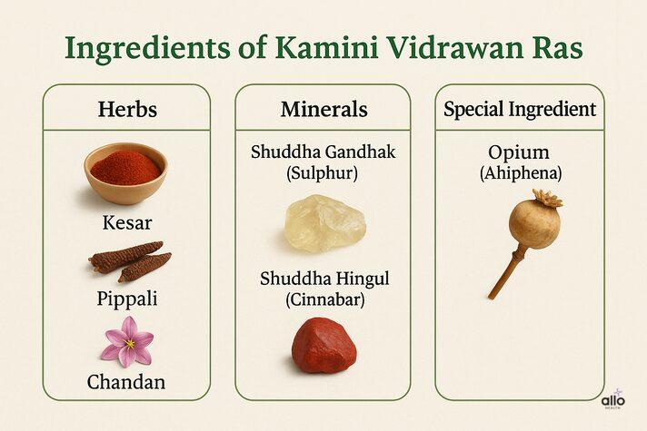 “Kamini Vidrawan Ras ke ingredients jaise kesar, pippali, hingul aur afeem dikhata hua chart.”