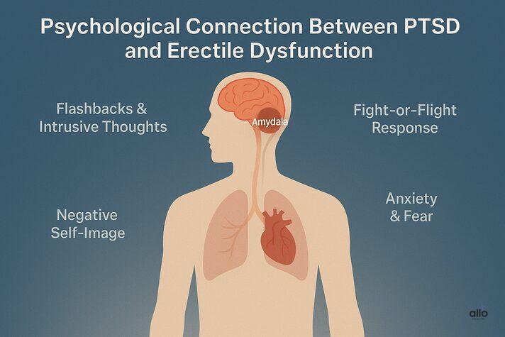 PTSD and Erectile Dysfunction: Trauma’s Impact on Sexual Health 2 “3D medical illustration showing how PTSD and erectile dysfunction are linked through stress, anxiety, and emotional triggers in the brain.”