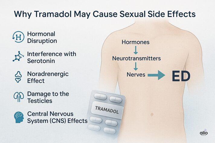 Medical illustration explaining why Tramadol may cause sexual side effects, showing hormonal disruption, serotonin and norepinephrine imbalance, testicular damage, and central nervous system effects leading to erectile dysfunction.