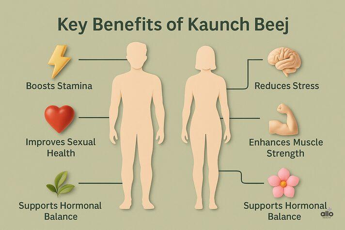 Kaunch Beej ke fayde dikhata hua infographic — stamina, sexual health, stress relief, aur hormonal balance ke labh ke saath.