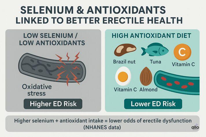 Comparison infographic showing that low selenium and low antioxidant intake increases oxidative stress and ED risk, while a high-antioxidant diet with selenium-rich foods lowers the risk of erectile dysfunction