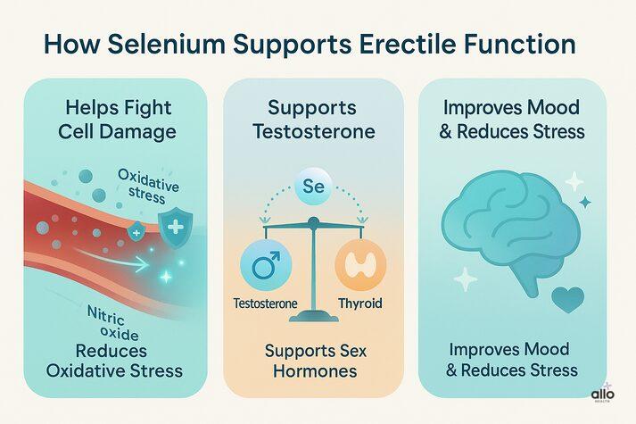 Three-part infographic showing how selenium improves erectile function by reducing oxidative stress, supporting testosterone and thyroid balance, and improving mood and stress levels.